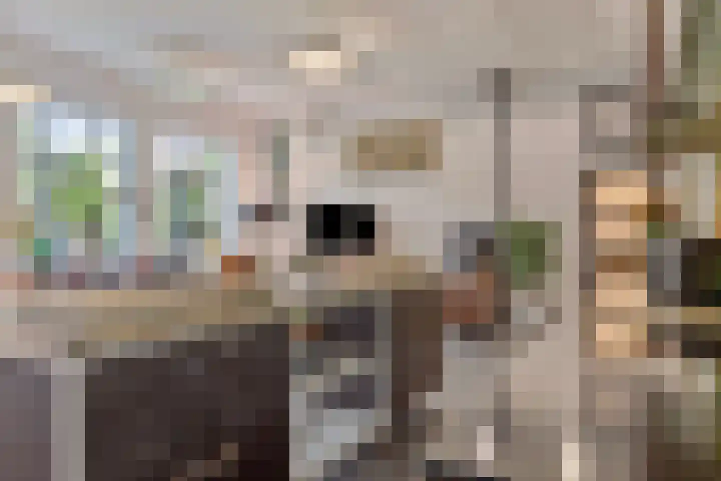 Dierenriem 42 A Ulft thumbnail 14