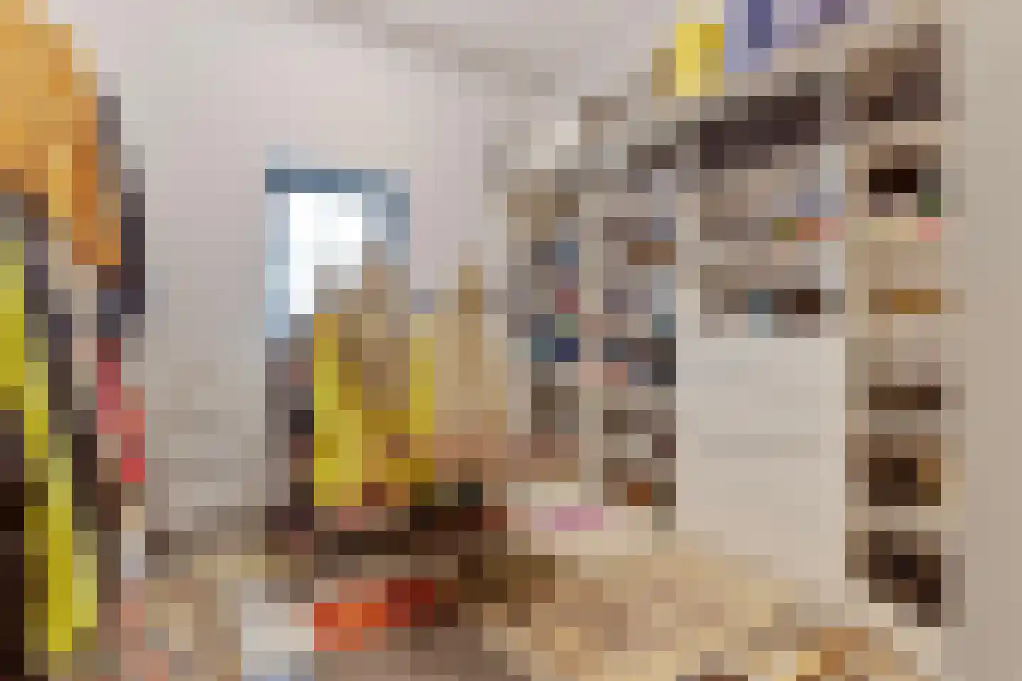Dierenriem 42 A Ulft thumbnail 20