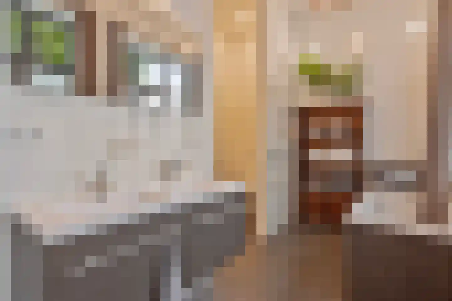 Dierenriem 42 A Ulft thumbnail 22