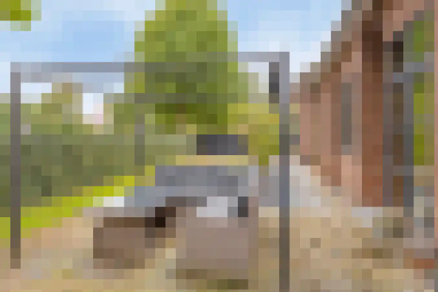 Dierenriem 42 A Ulft thumbnail 33