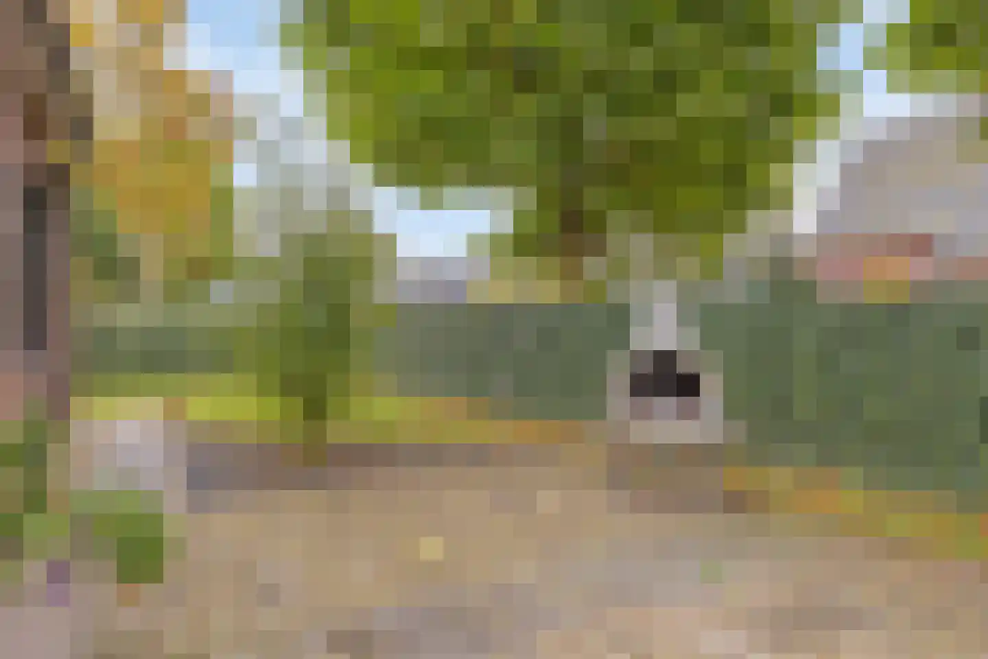 Dierenriem 42 A Ulft thumbnail 35