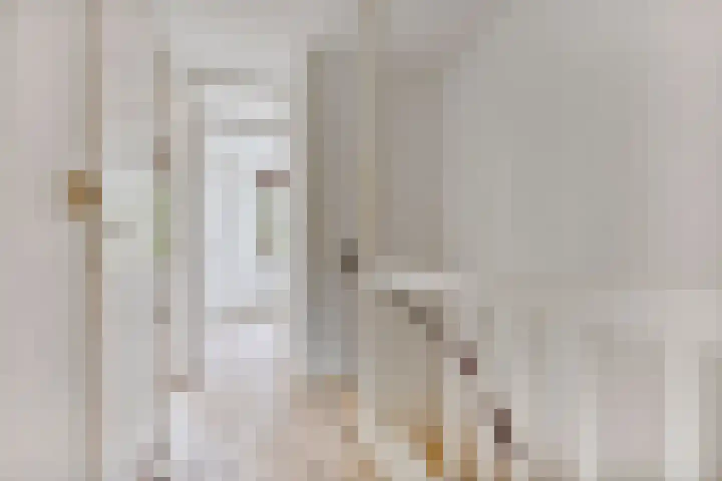 Dierenriem 49 Amsterdam thumbnail 13