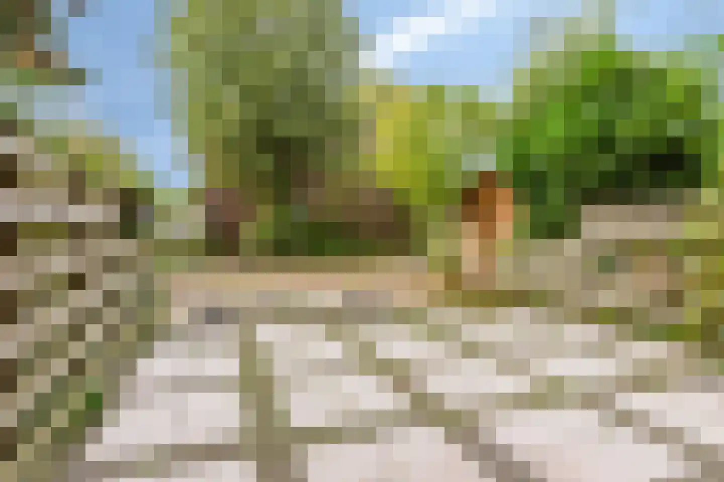 Dierenriem 49 Amsterdam thumbnail 27