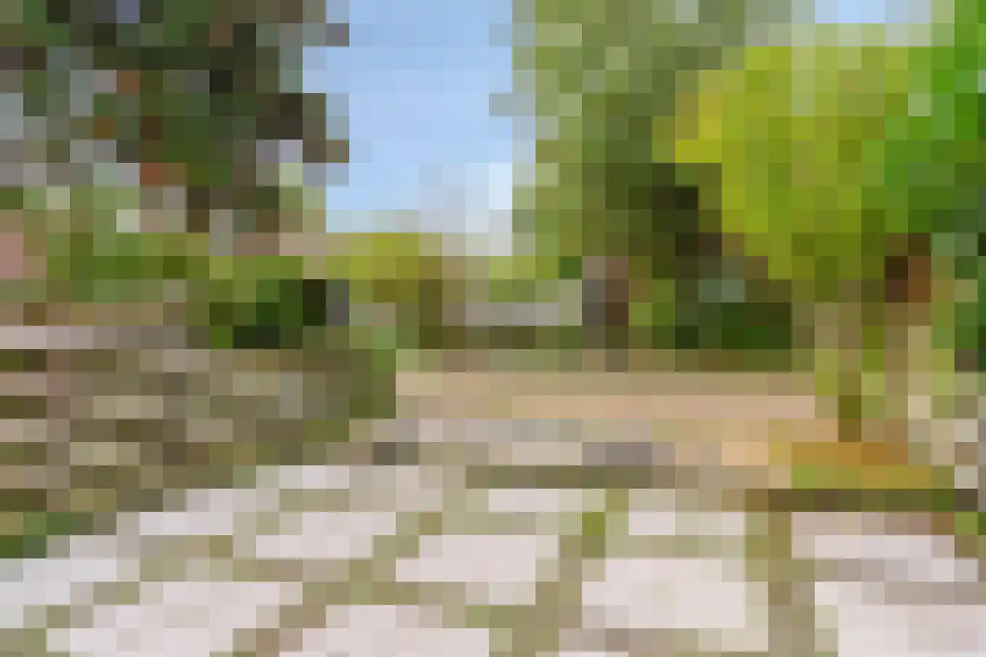 Dierenriem 49 Amsterdam thumbnail 28