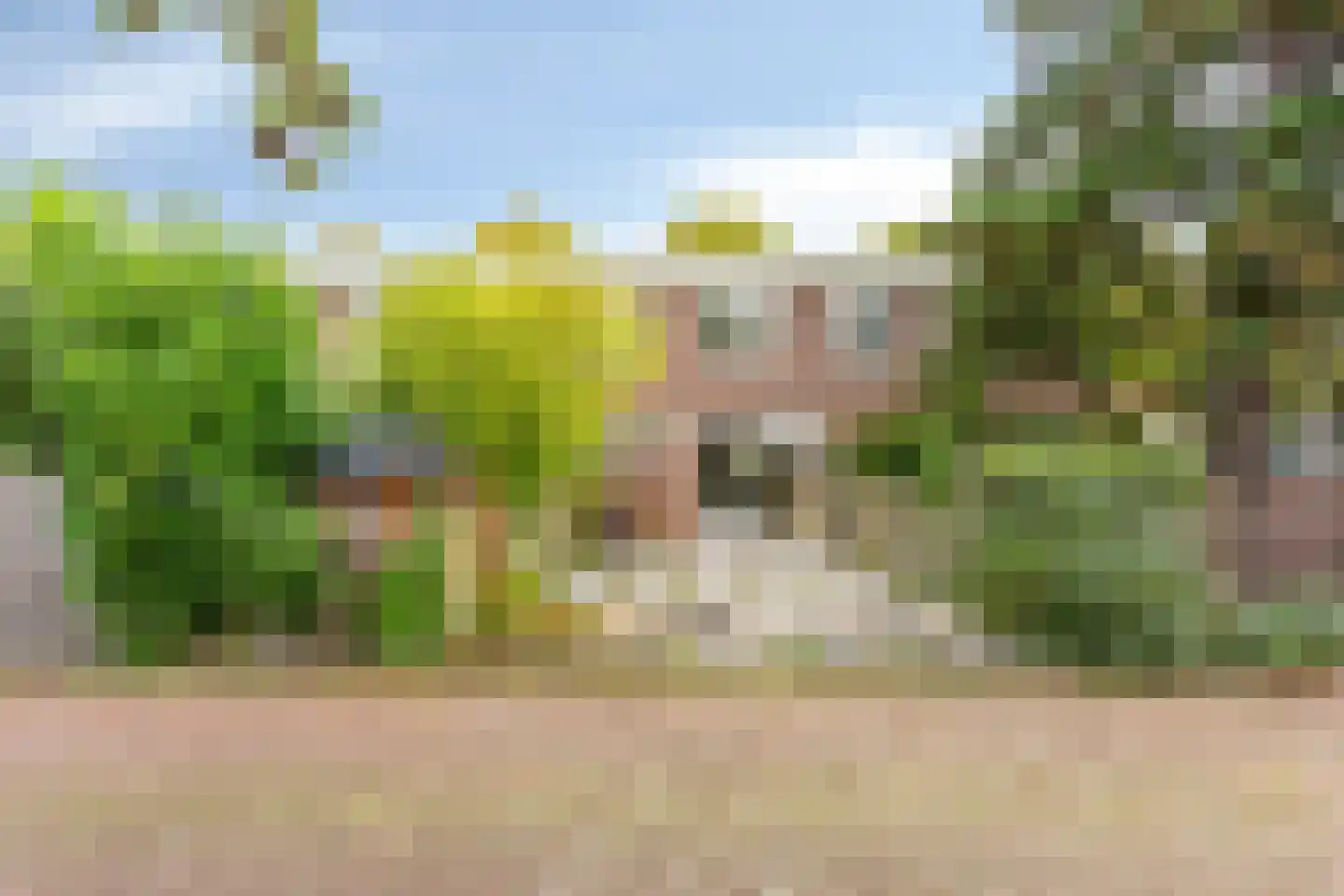 Dierenriem 49 Amsterdam thumbnail 30