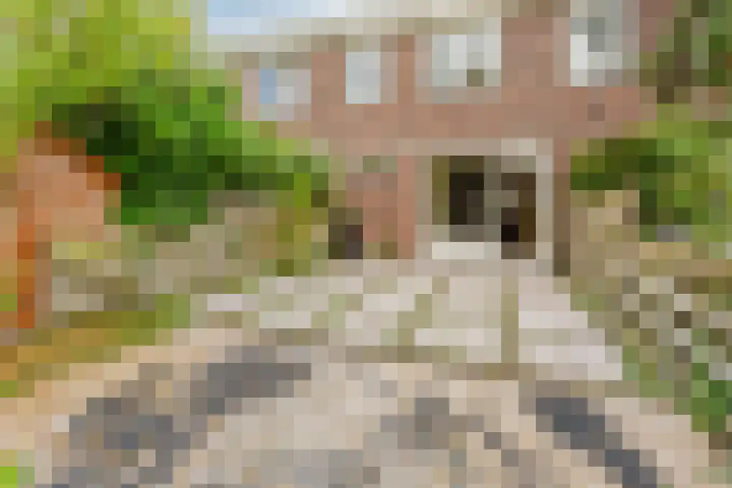 Dierenriem 49 Amsterdam thumbnail 31