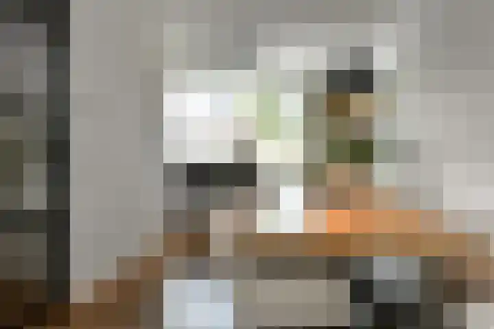 Dierenriem 50 Elst thumbnail 10