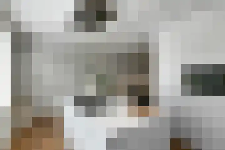 Dierenriem 50 Elst thumbnail 12