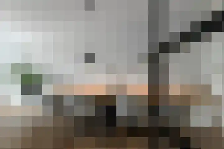 Dierenriem 50 Elst thumbnail 13