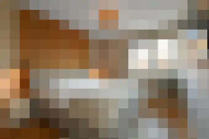 Dierenriem 50 Elst thumbnail 15