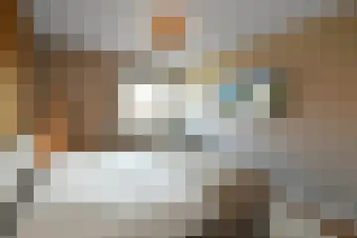 Dierenriem 50 Elst thumbnail 16