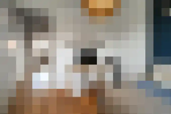 Dierenriem 50 Elst thumbnail 19
