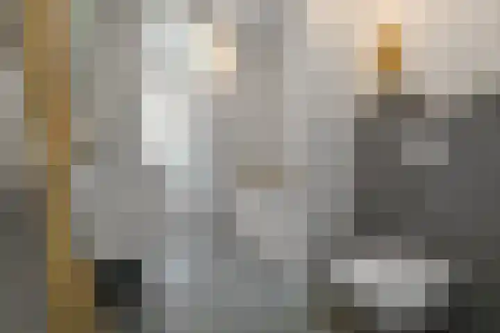 Dierenriem 50 Elst thumbnail 22