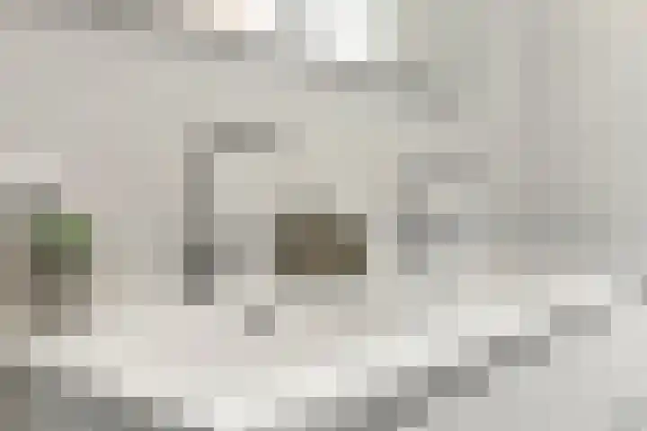 Dierenriem 50 Elst thumbnail 24
