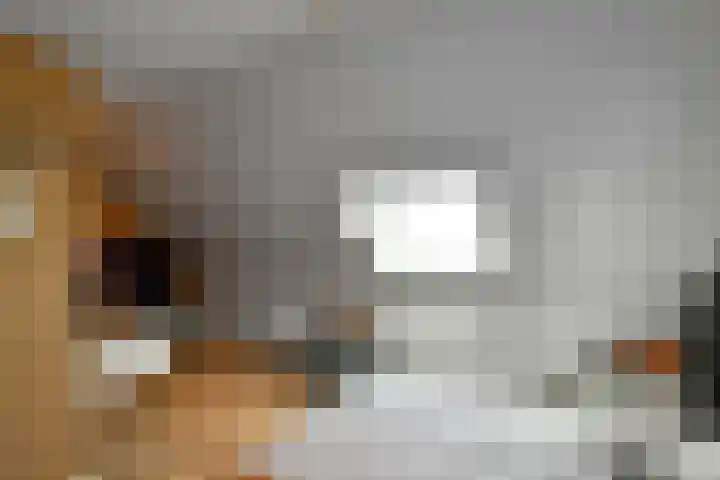 Dierenriem 50 Elst thumbnail 26