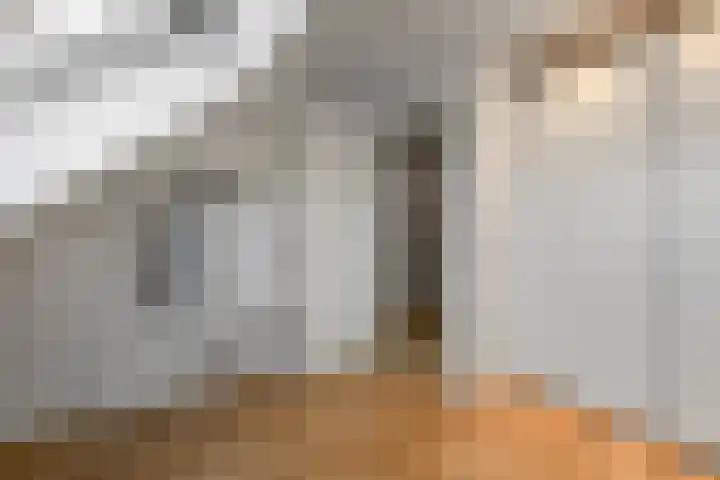 Dierenriem 50 Elst thumbnail 29