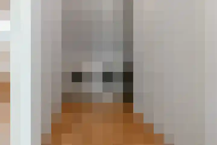 Dierenriem 50 Elst thumbnail 30