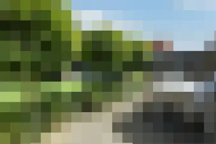 Dierenriem 50 Elst thumbnail 32