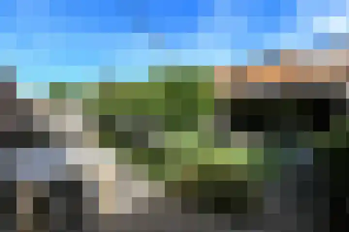 Dierenriem 50 Elst thumbnail 33