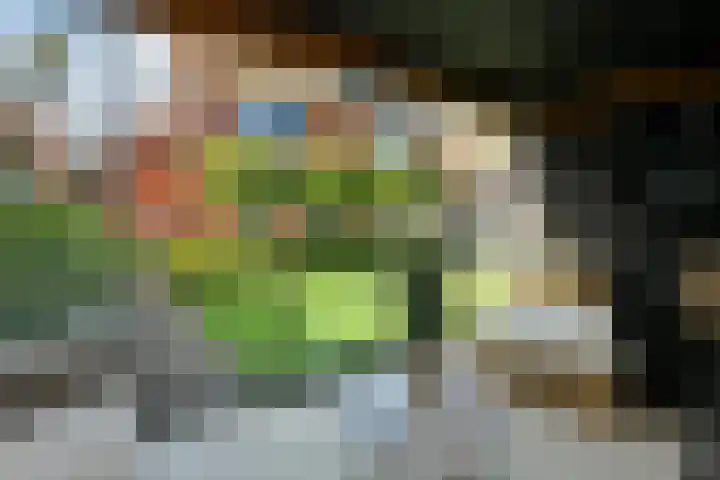 Dierenriem 50 Elst thumbnail 34