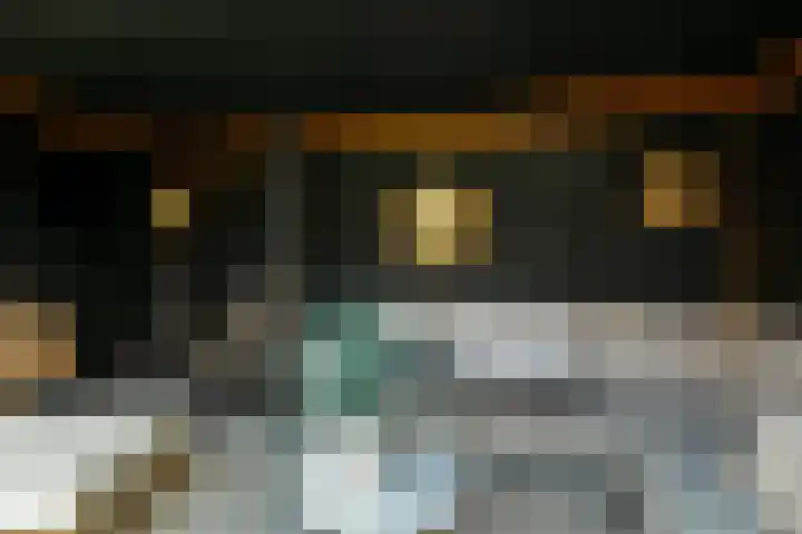 Dierenriem 50 Elst thumbnail 35