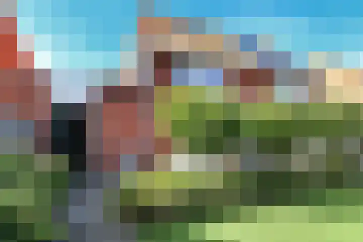 Dierenriem 50 Elst thumbnail 36