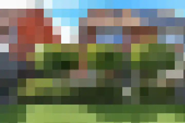 Dierenriem 50 Elst thumbnail 37