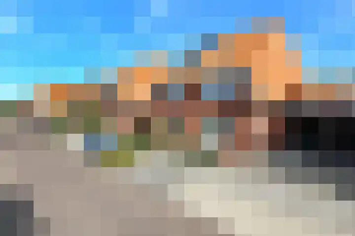 Dierenriem 50 Elst thumbnail 39