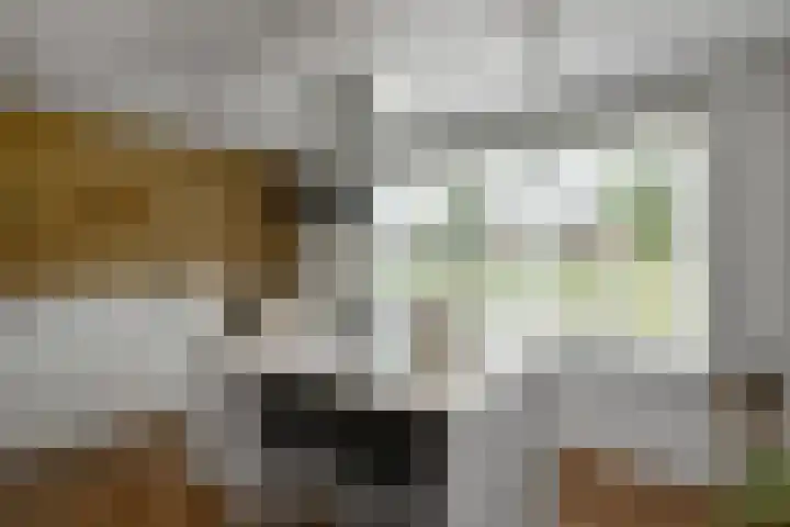 Dierenriem 50 Elst thumbnail 4