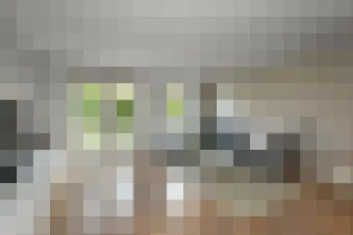 Dierenriem 50 Elst thumbnail 5