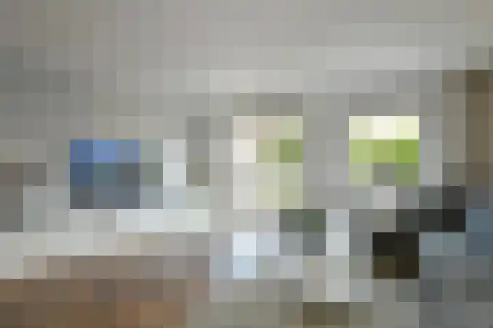 Dierenriem 50 Elst thumbnail 6