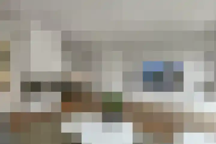 Dierenriem 50 Elst thumbnail 7