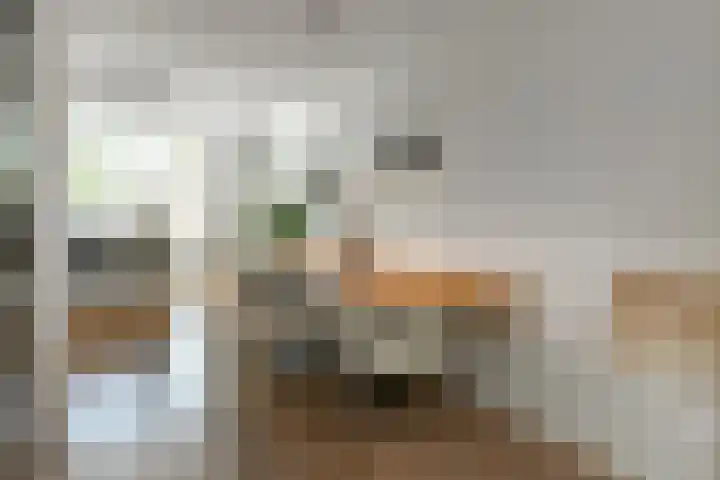 Dierenriem 50 Elst thumbnail 9