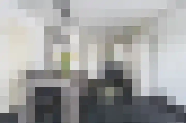 Dierenriem 57 Amsterdam thumbnail 12