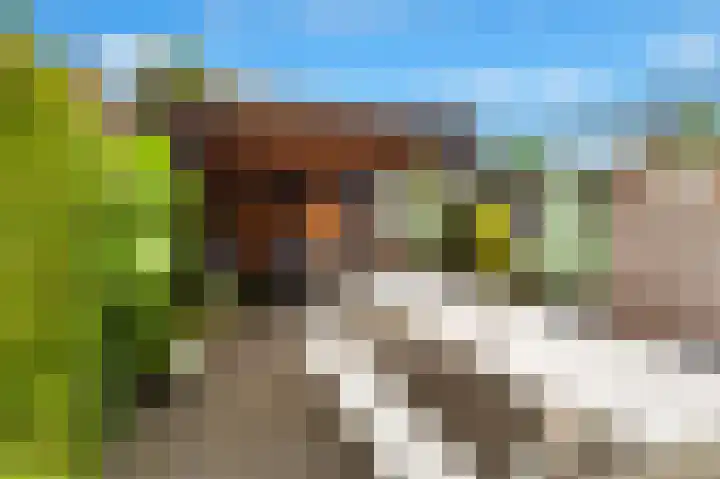 Dierenriem 57 Amsterdam thumbnail 19