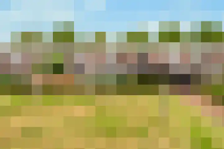 Dierenriem 57 Amsterdam thumbnail 36