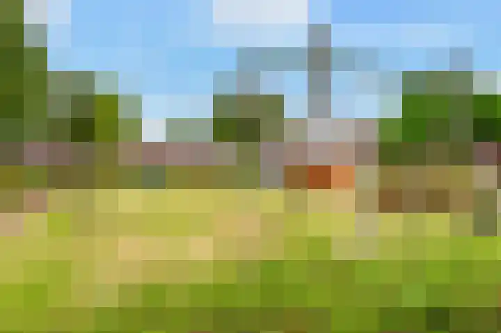 Dierenriem 57 Amsterdam thumbnail 38
