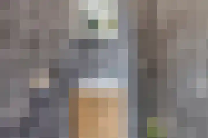 Dierenriem 64 Hellevoetsluis thumbnail 11