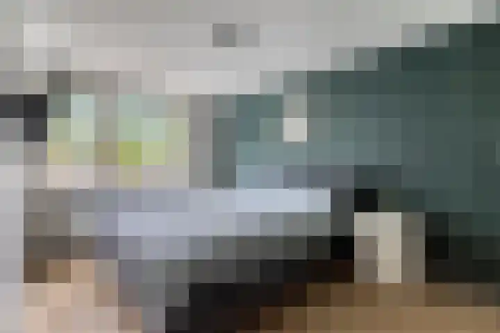 Dierenriem 64 Hellevoetsluis thumbnail 12