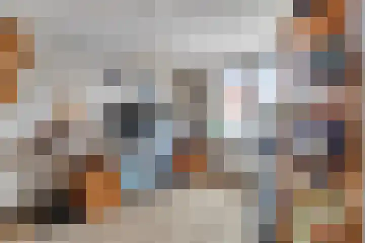 Dierenriem 64 Hellevoetsluis thumbnail 13