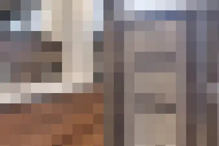 Dierenriem 64 Hellevoetsluis thumbnail 16