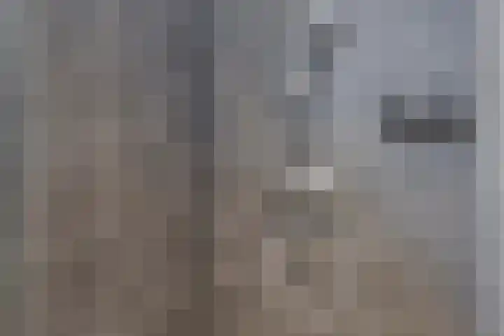 Dierenriem 64 Hellevoetsluis thumbnail 17