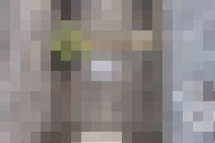 Dierenriem 64 Hellevoetsluis thumbnail 18