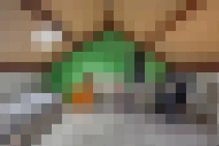 Dierenriem 64 Hellevoetsluis thumbnail 21