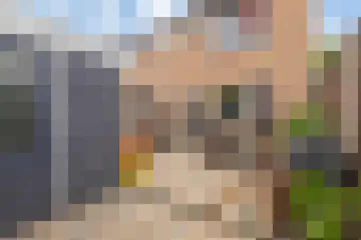 Dierenriem 64 Hellevoetsluis thumbnail 23