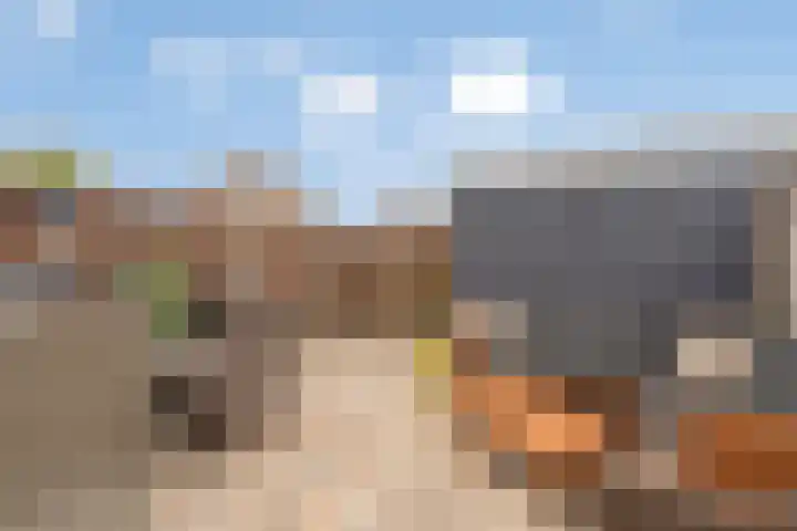 Dierenriem 64 Hellevoetsluis thumbnail 24