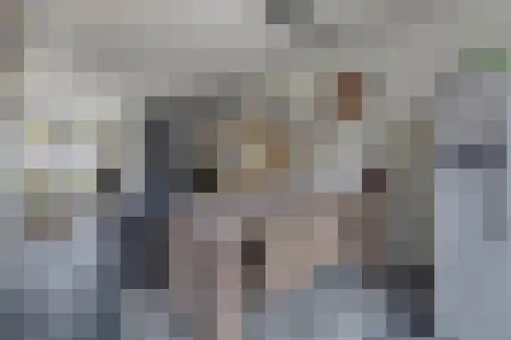 Dierenriem 64 Hellevoetsluis thumbnail 4