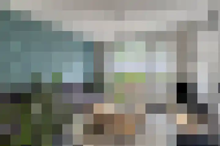 Dierenriem 64 Hellevoetsluis thumbnail 5