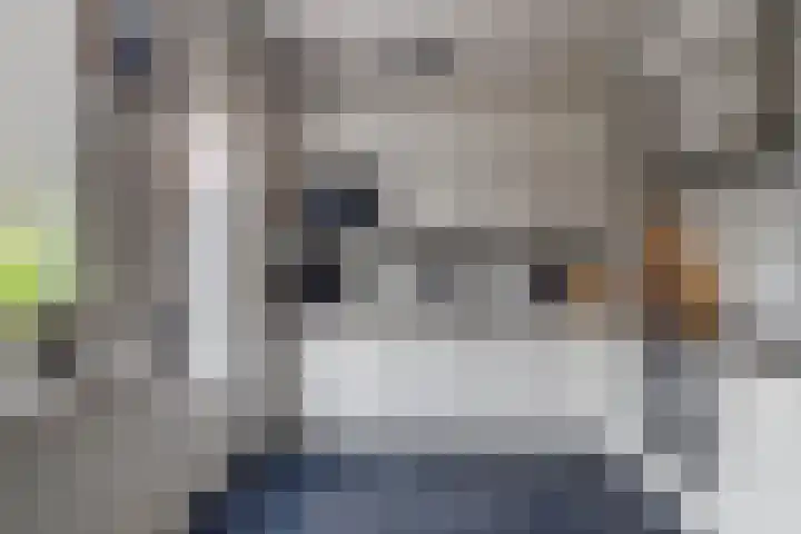 Dierenriem 64 Hellevoetsluis thumbnail 9
