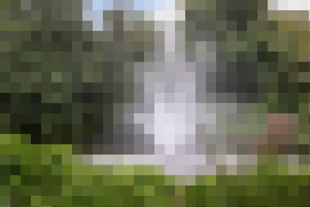 Dierenriem 66 Amsterdam thumbnail 17